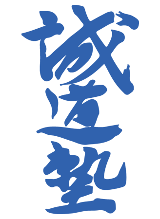 seido karate
